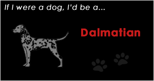 dalmation.gif